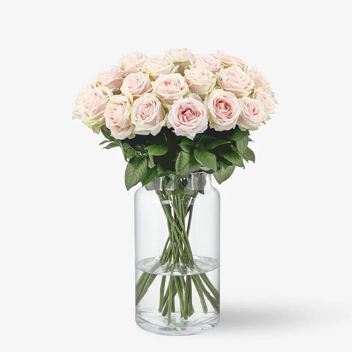 Rosa de Llum