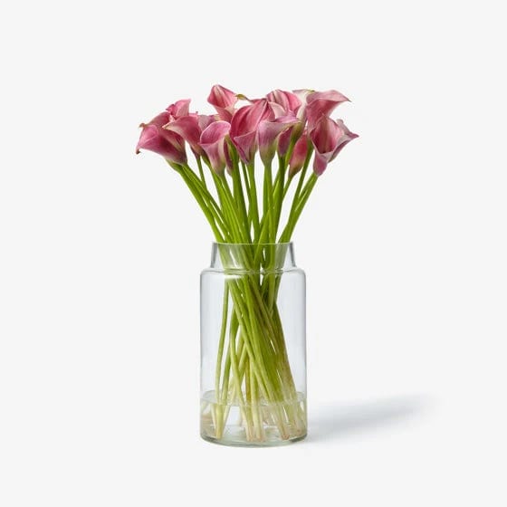 Ecant de Calla