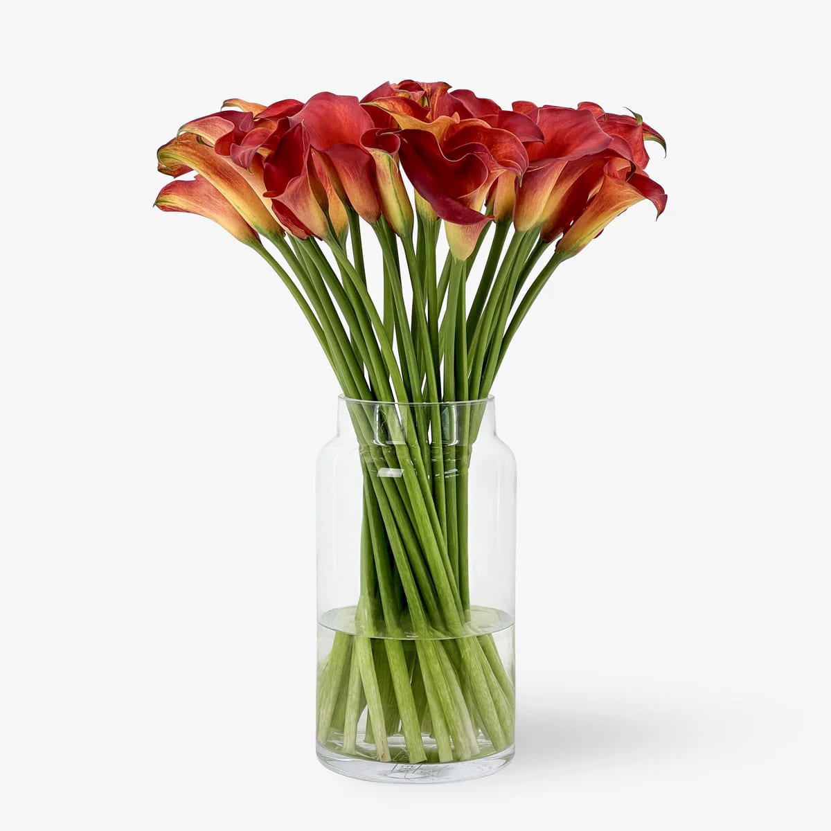 Vesprada de Calla
