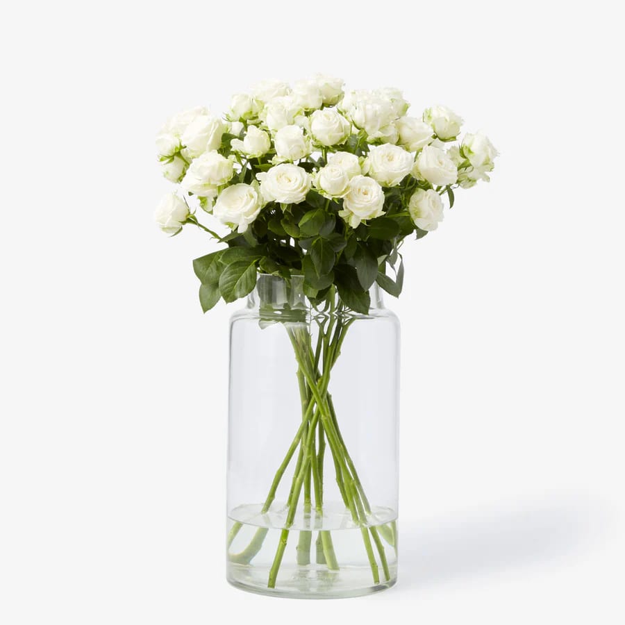 Roses Núvol