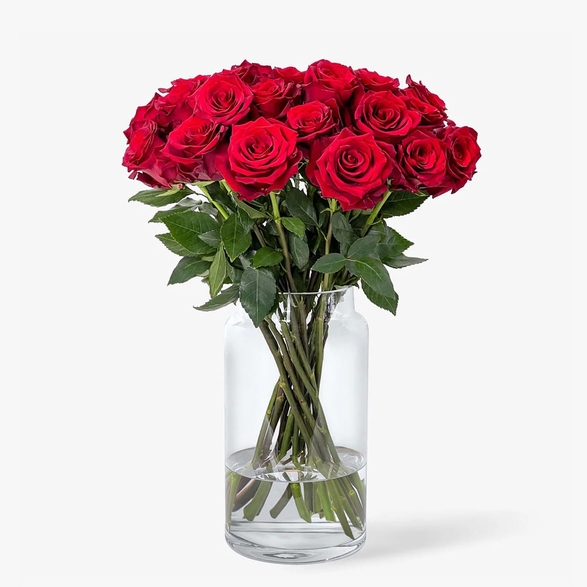 Roses de l’Amor
