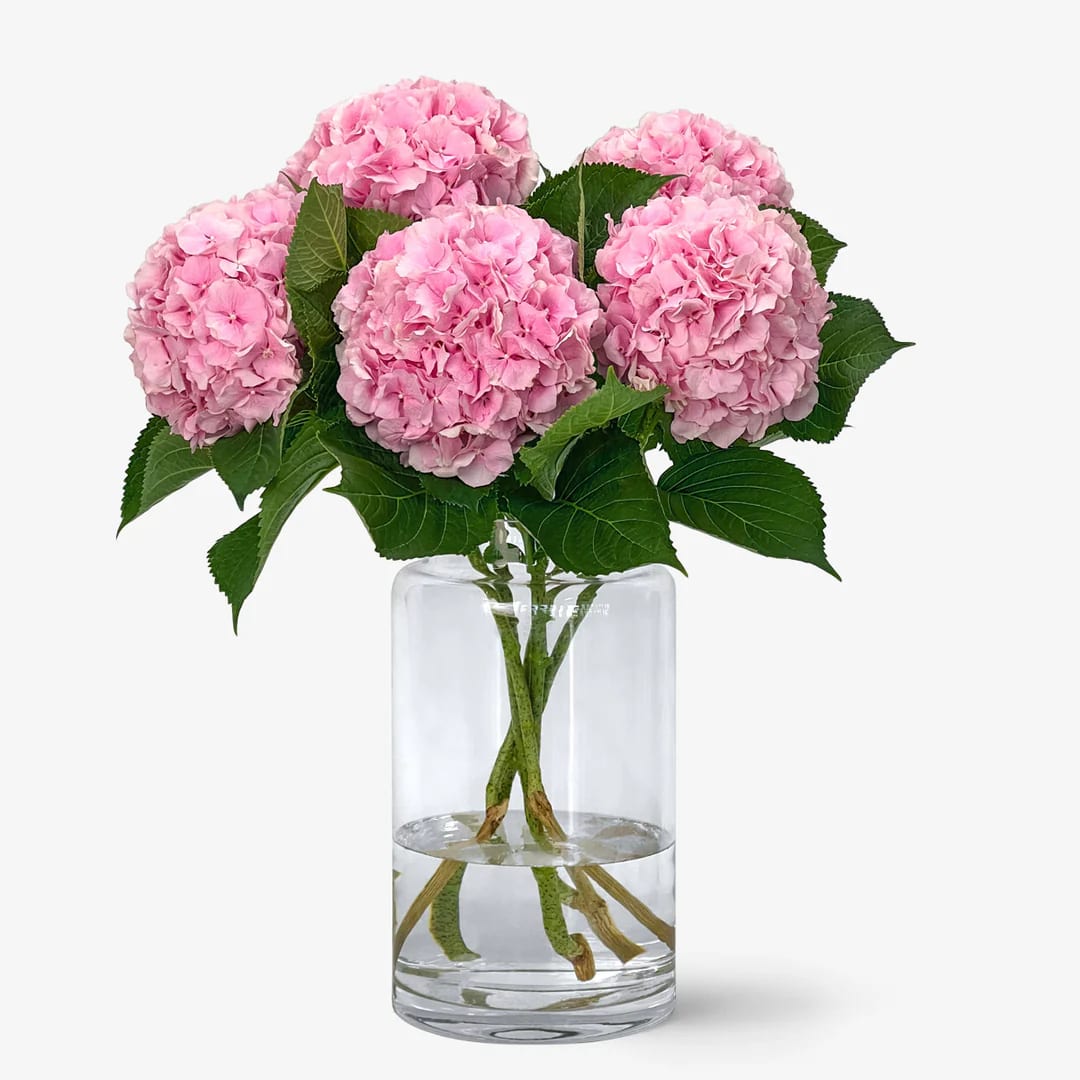 Hortènsies Dolces