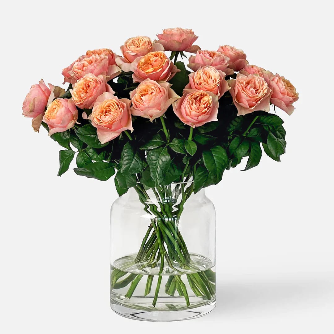 Roses de Jardí